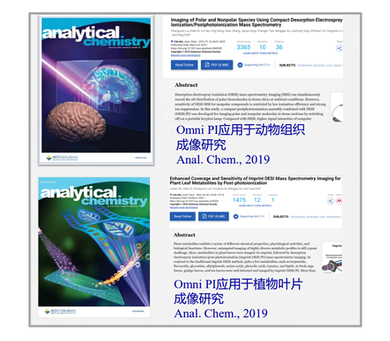 发表的封面论文